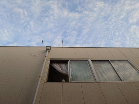 241204晴れ