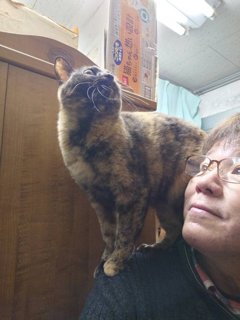 241220肩乗りさっちゃん