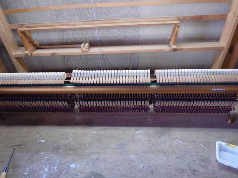 241205u1g-04