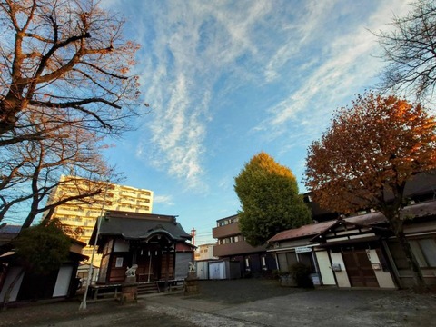 241206金毘羅神社