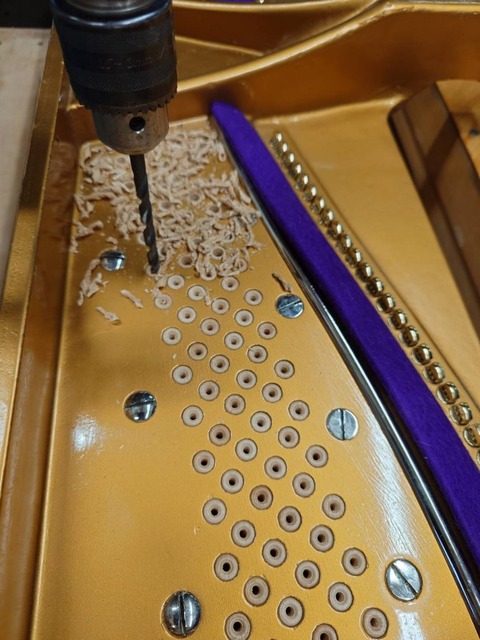 ce4231d5