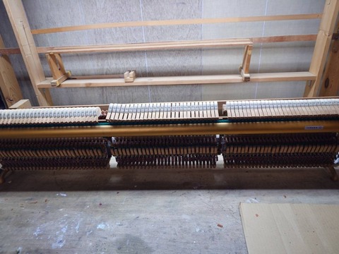 241205u1g-27