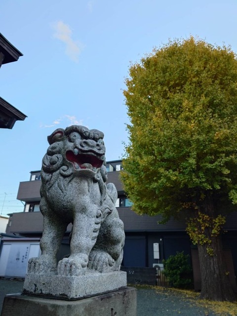 241214金毘羅神社2