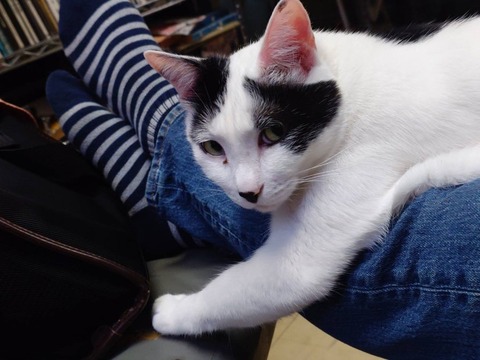250418足上のミル