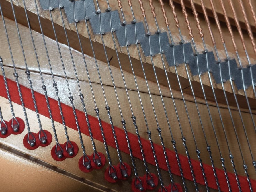 Grotrian SteinwegⅨ修理後のサービス調律・響板修理のまとめと、猫 : 猫好き調律師、杉本由紀(すぎもとよしのり)おやじのつぶやき