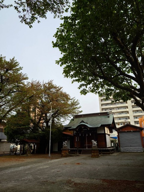 250418金毘羅神社