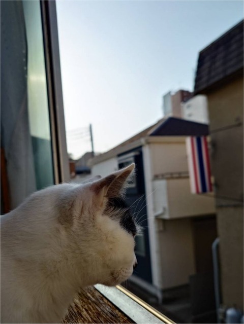 250422快晴とミル