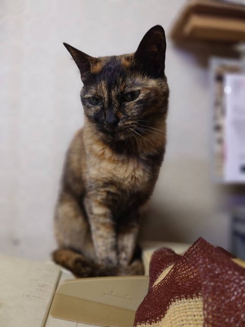 250419さっちゃんコピー機