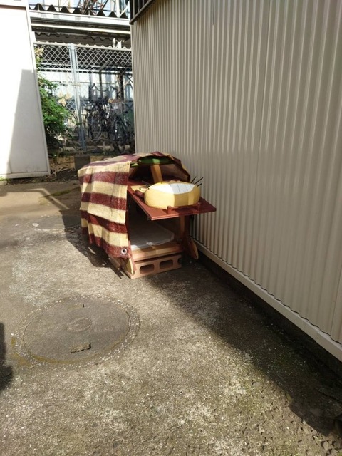 230605猫バス捕獲器