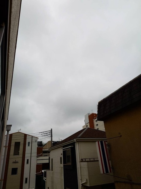 250425曇り