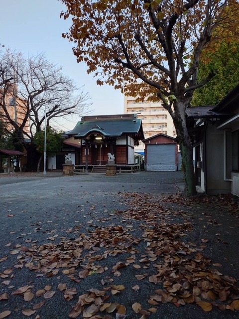 241207金毘羅神社