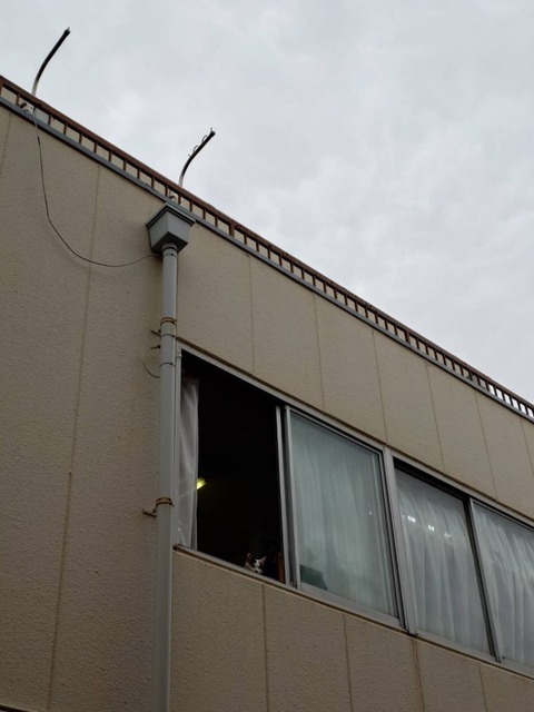 250420曇りとミル