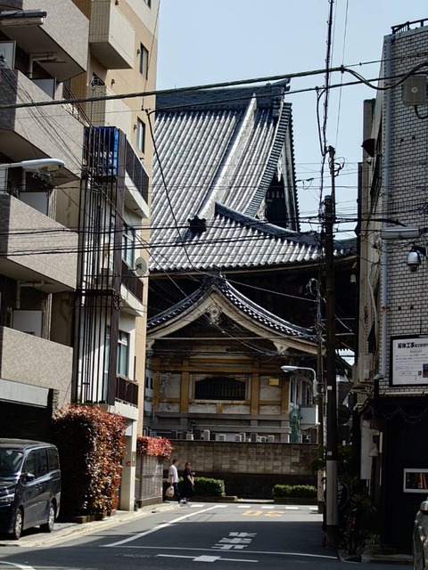 250419浅草-05