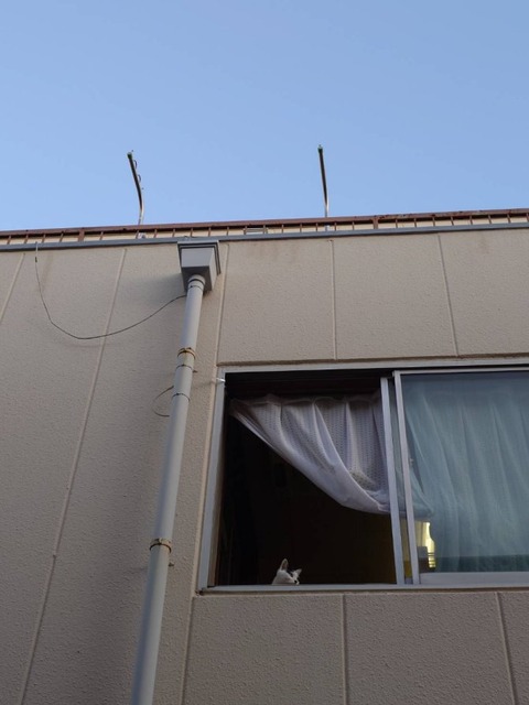 241203快晴ミル