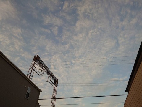 241204晴れ2
