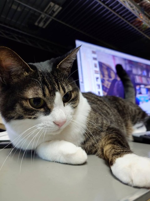 241205朝のぽんたPC