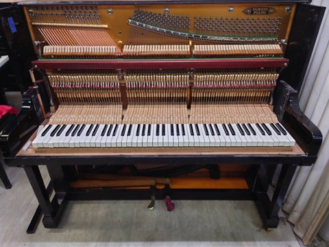bd609ab1