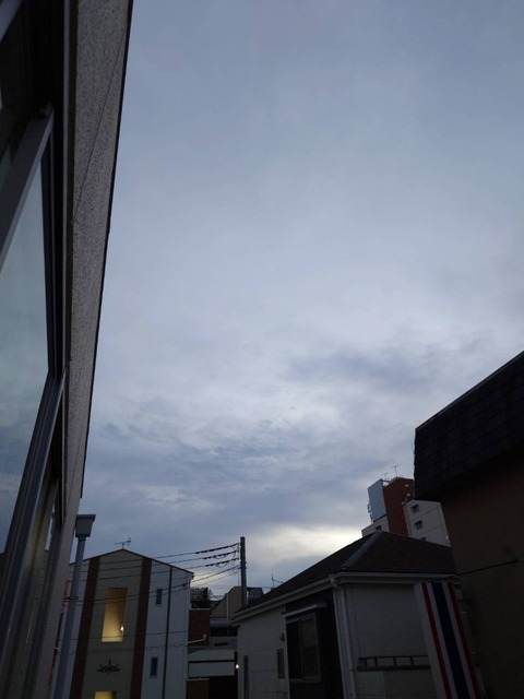 241208曇り