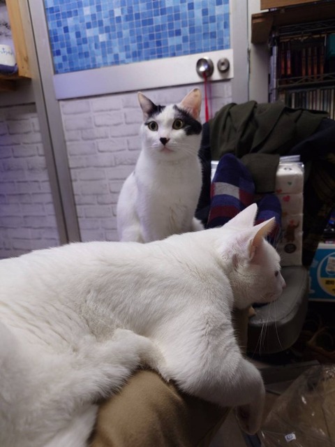 241202足上のソラミル