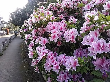 明大前／跨線水道管脇
