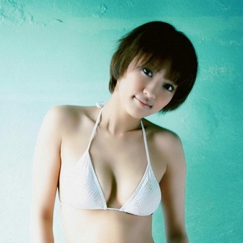 夏菜 デジタル写真集の水着姿の画像