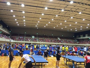 1385480_519919964760608_1584175627_n