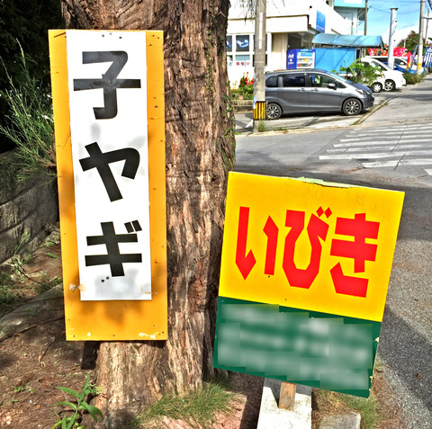 ibkyg01