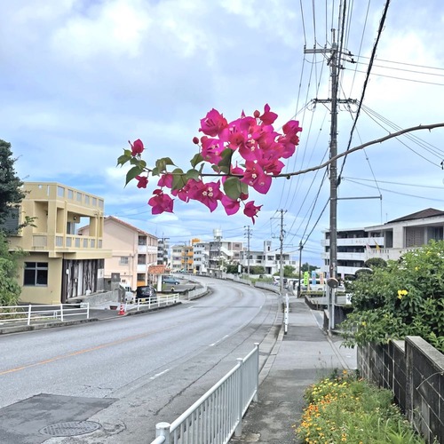 rjh250901