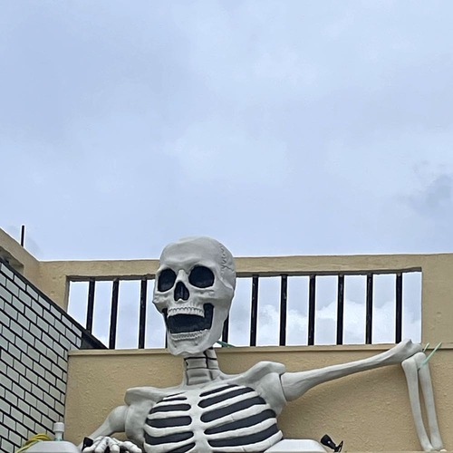 ドクロガイコツシャレコウベ!! : キタローのよみたんミーグルグル!!