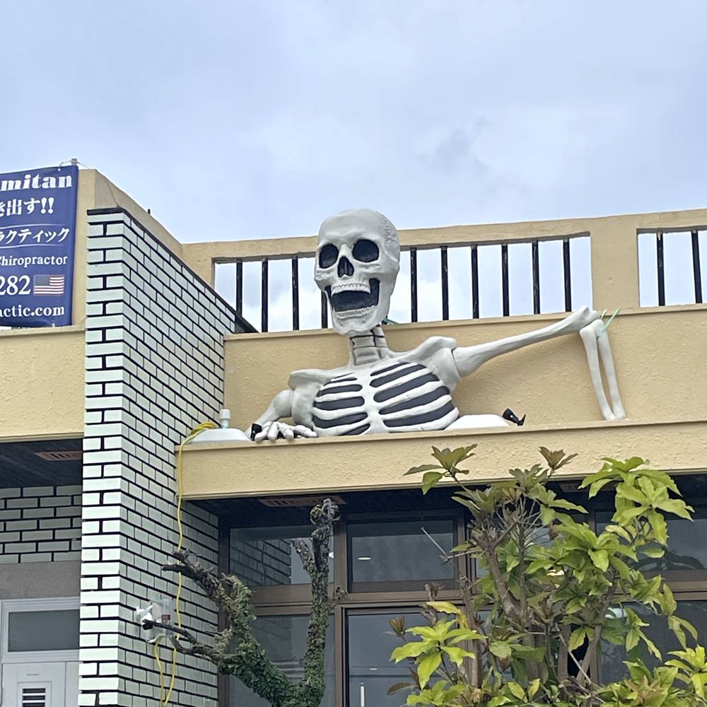 ドクロガイコツシャレコウベ!! : キタローのよみたんミーグルグル!!