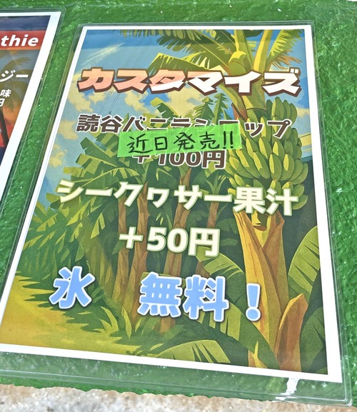 ytbsfv04