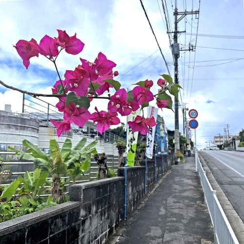 rjh250902