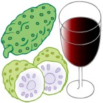 noni