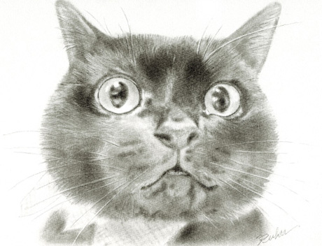 イラストレーター くるみ るか 鉛筆画