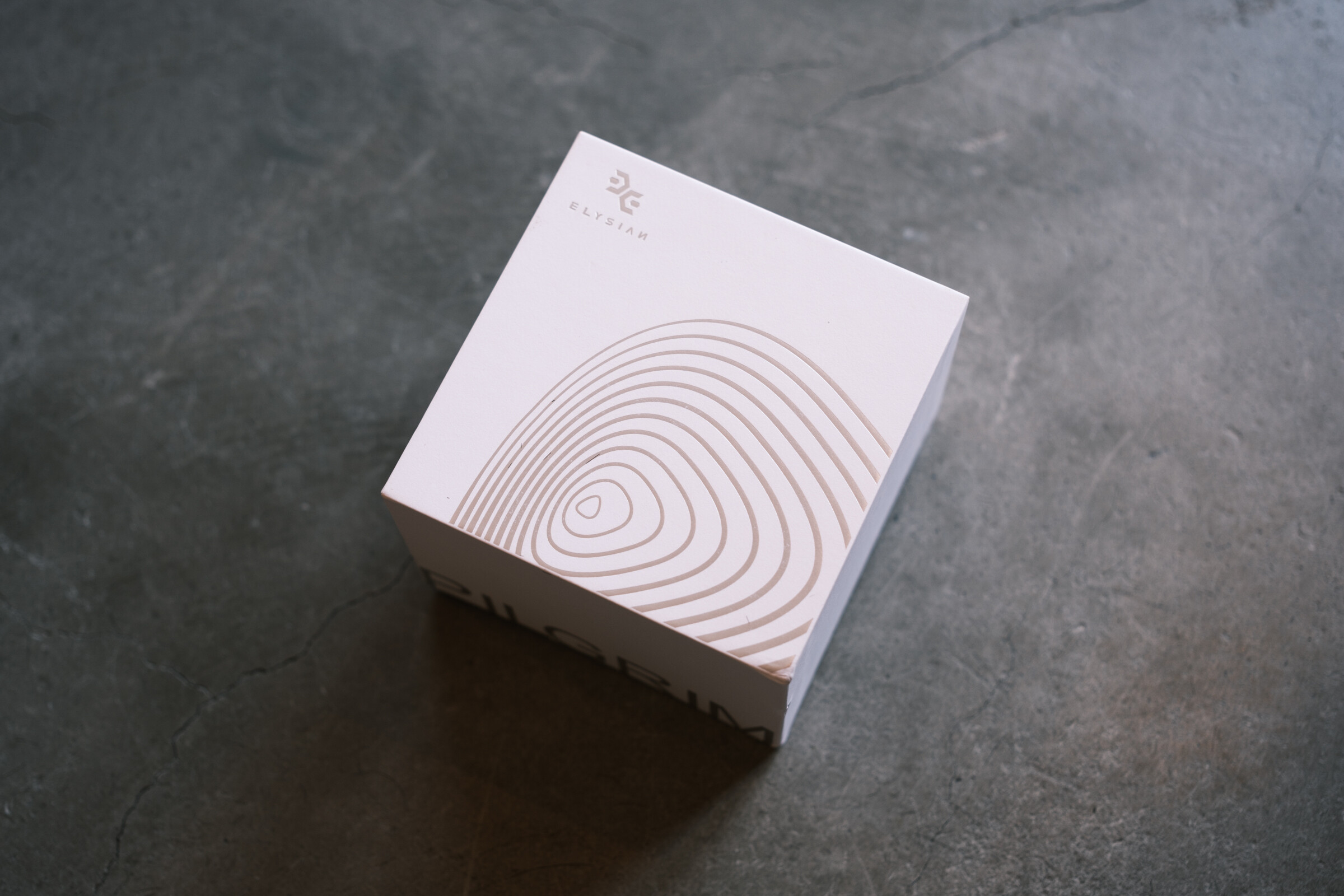 Elysian Acoustic Labs PILGRIM』中〜高域が非常にクリーンで美しく