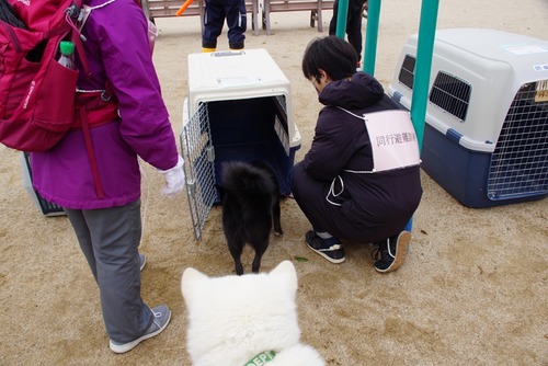 LINE_ALBUM_20220319　大和　同行避難_220319_19