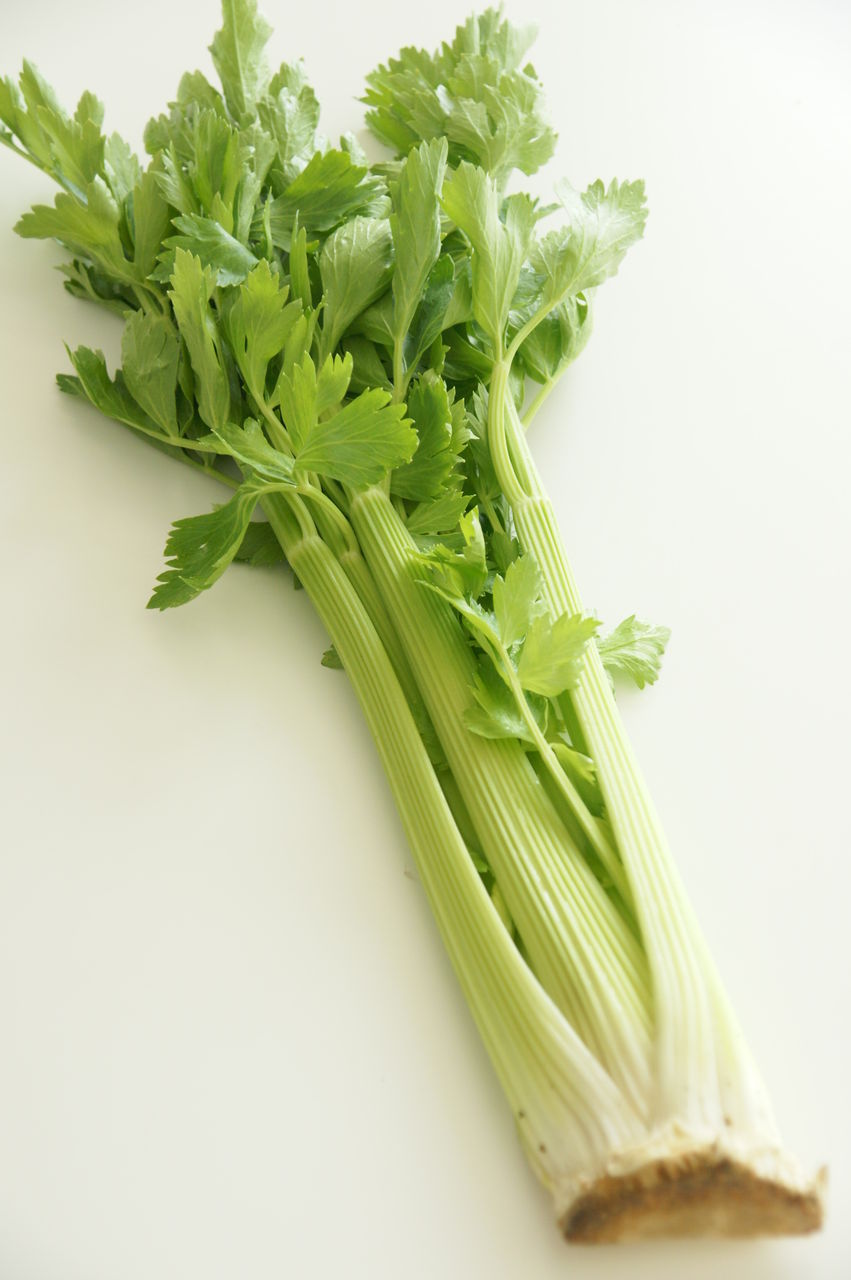 セロリの葉炒め ｙｕごはん ときどき Sweets Bread