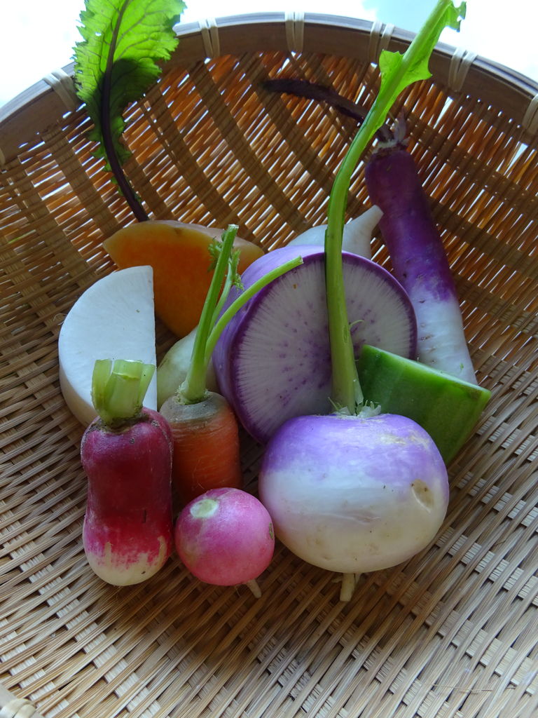 鎌倉野菜でサラダ ｙｕごはん ときどき Sweets Bread