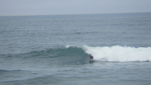 RIMG4379