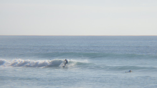 RIMG4285