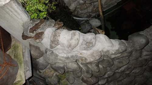 RIMG0631