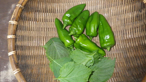 RIMG0693