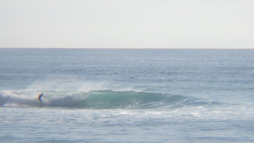 RIMG4280