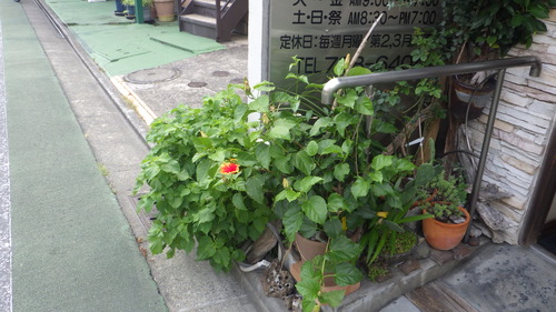 RIMG0676