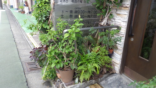 RIMG4390