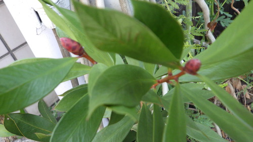 RIMG5855