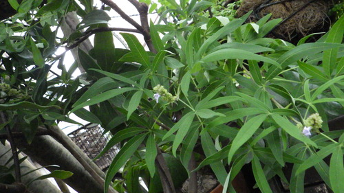 RIMG0758