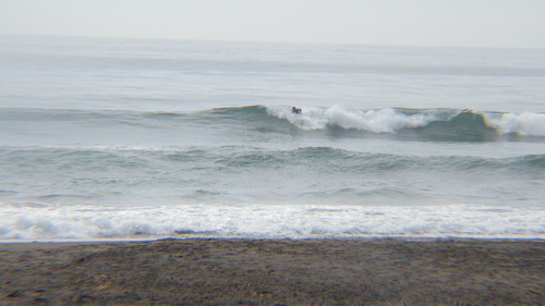 RIMG0856