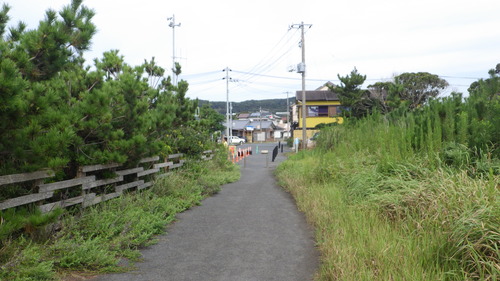 RIMG0857