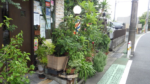 RIMG4391